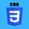 CSS