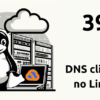 DNS cliente no Linux