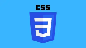 CSS